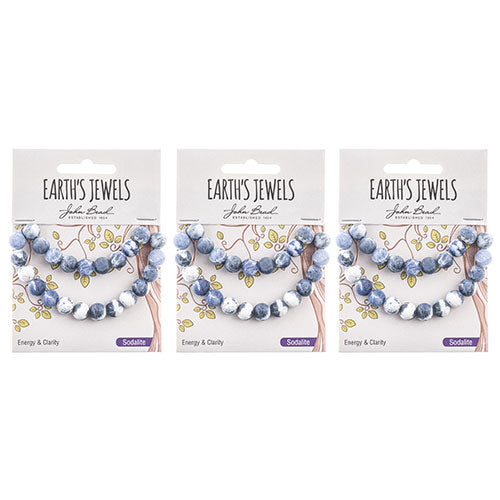 Earth's Jewels Round Beads Matte Sodalite Natural