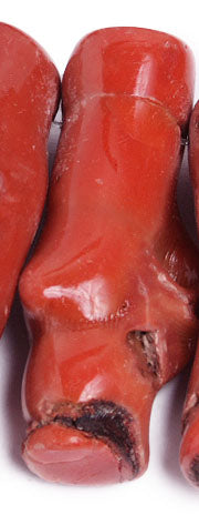 Bamboo Coral Beads Oblong Semi Precious 16in10-15x30-45mm Pink