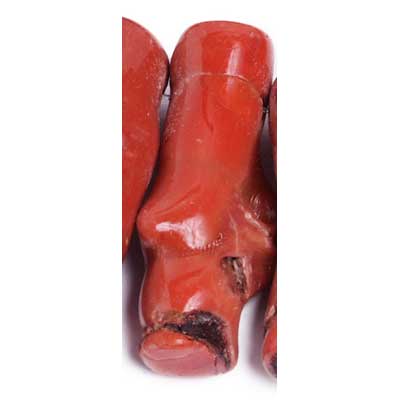 Bamboo Coral Beads Oblong Semi Precious 16in10-15x30-45mm Pink