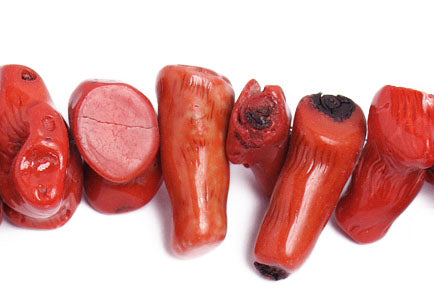 Bamboo Coral Beads Chips Semi- Precious