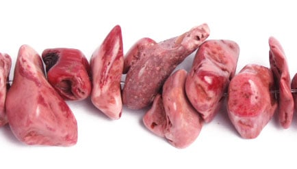 Bamboo Coral Beads Chips Semi- Precious