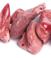 Bamboo Coral Beads Chips Semi- Precious