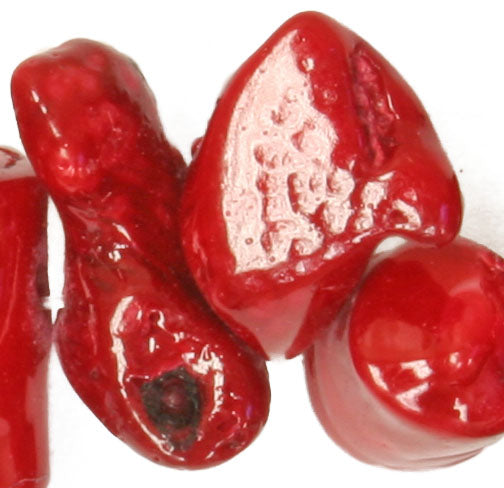 Bamboo Coral Beads Disc Semi- Precious 16in 15-25mm