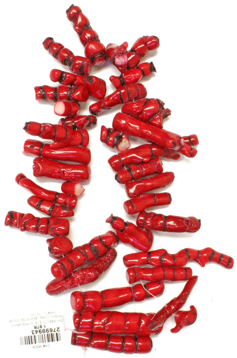 Bamboo Coral Beads Oblong Branch Semi-Precious 16in 10-15x30-45mm
