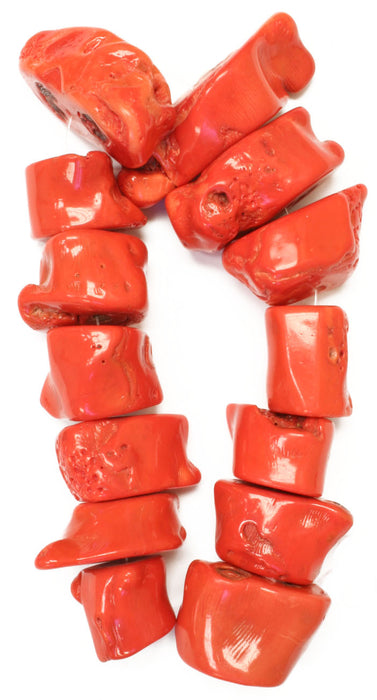 Bamboo Coral Beads Drum Shape Semi-Precious 16in 