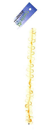 Czech Preciosa Pip Beads Transparent