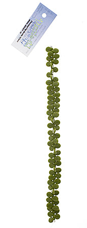 Czech Preciosa Pip Beads Opaque