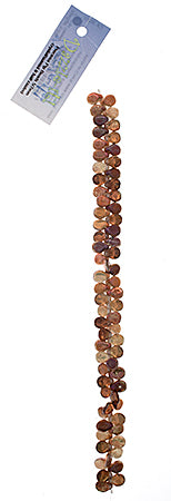 Czech Preciosa Pip Beads Transparent