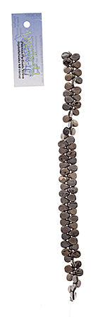 Czech Preciosa Pip Beads Transparent