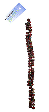 Czech Preciosa Pip Beads Opaque