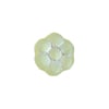 Glass Bead Flower 8mm Olivine Strung Matte/AB
