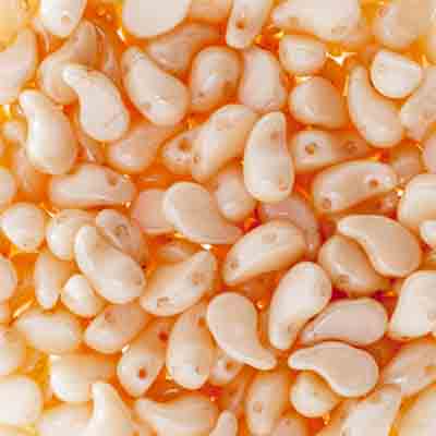 Czech Bead Zoli Duo Left 2-Hole 5x8mm Alabaster Luster Shades