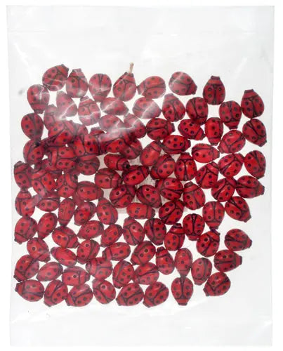 Acrylic Ladybug Bead 12x9mm Red/Black