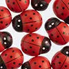 Wood Bead 20x27mm Lady Bug 50g Red