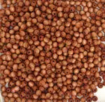 Euro Wood Beads Round 6mm 