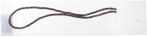 Coco 3mm Pukalet 16in Strand Brown