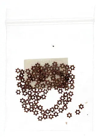 Metal Bead Scallop Washer 4mm Antique Copper Lead Free (Brass Base)