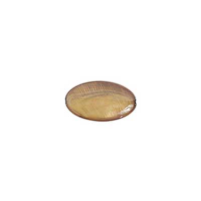 Shell Oval 15x25mm 8in Strand (8pcs) Gold