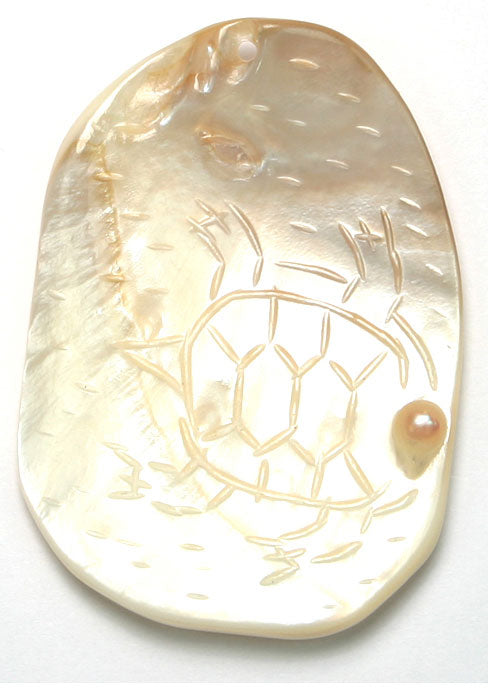 River Shell With Carving 