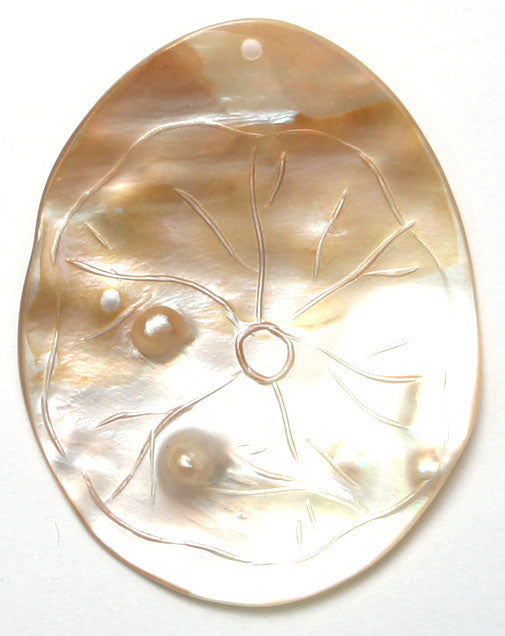 River Shell With Carving 