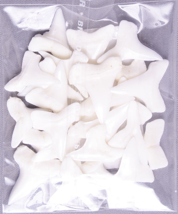 Maro Shark Teeth 