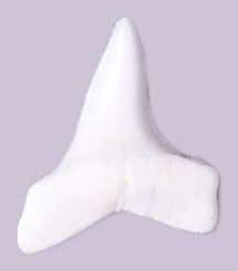 Maro Shark Teeth 