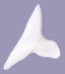 Maro Shark Teeth 