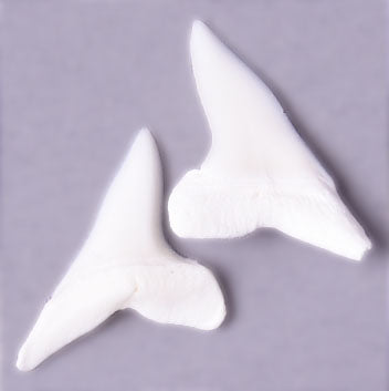 Maro Shark Teeth 
