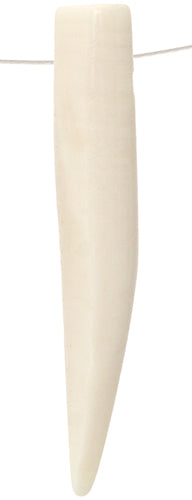 Bone Tusks Ivory Worked On Bone