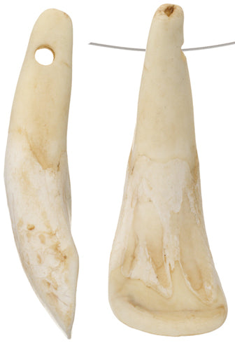 Bone Cows Teeth Antiqued Worked On Bone