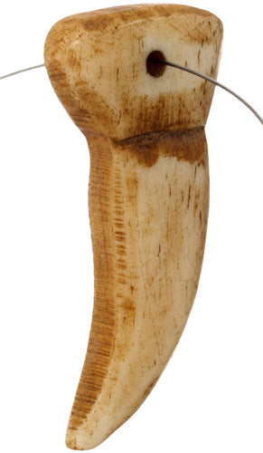 Bone Tusk Antiqued 1.5" Worked On Bone