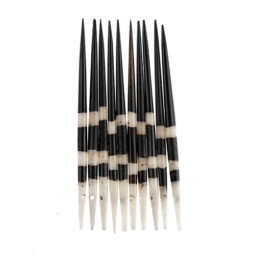 African Imitation Porcupine Quills (10pcs) Worked On Bone