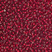 Czech Seed Beads Approx 24g Vial 10/0 - Red Shades