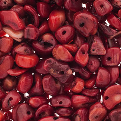 Czech Seed Beads 24g Vial Semi-precious Chips