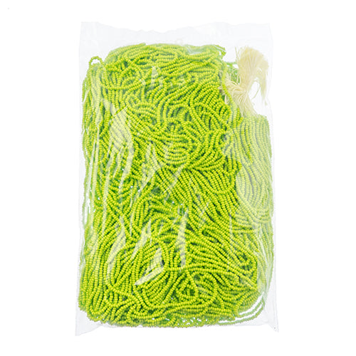 Czech Seed Beads 10/0 Terra Intensive 