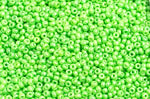 Czech Seed Beads 10/0 Opaque - Green Shades