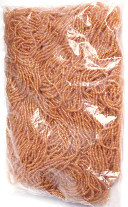 Czech Seed Beads 10/0 Transparent - Brown Shades