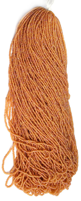 Czech Seed Beads 10/0 Transparent - Brown Shades