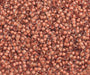 Czech Seed Beads 10/0 Color Lined Brown Shades