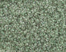 Czech Seed Beads 10/0 Color Lined Green Shades