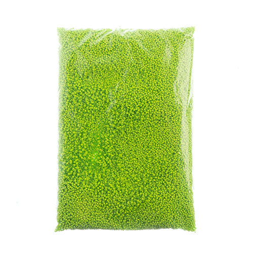 Czech Seed Beads 10/0 Terra Intensive 