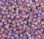 Czech Seed Bead / Pony Beads 6/0 Transparent Purple Shades