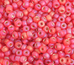Czech Seed Bead / Pony Beads 6/0 Silver Lined Red Shades