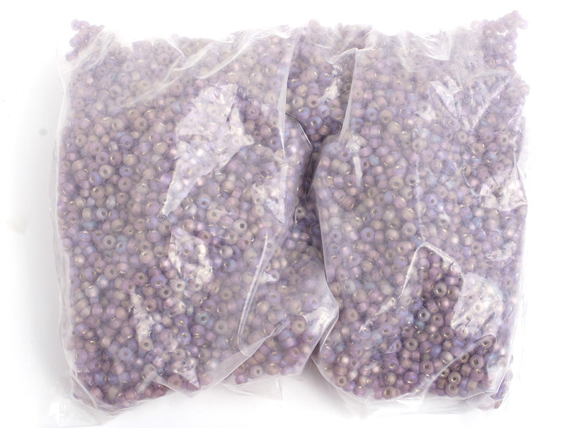 Czech Seed Bead / Pony Beads 6/0 Silver Lined Purple Shades
