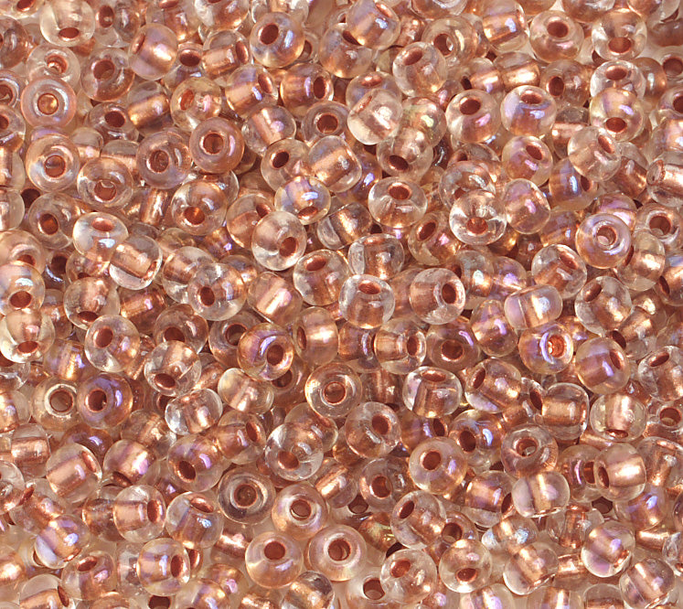 Czech Seed Bead / Pony Beads 6/0 Color Lined 