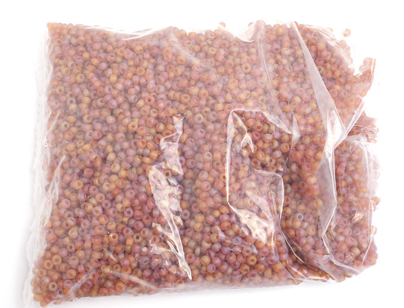 Czech Seed Bead / Pony Beads 6/0 Transparent Brown Shades