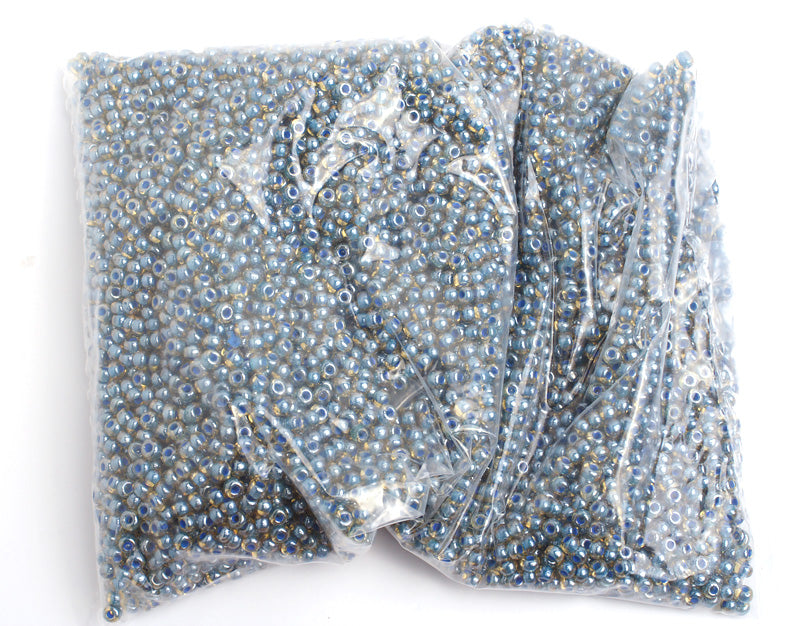 Czech Seed Bead / Pony Beads 6/0 Color Lined 