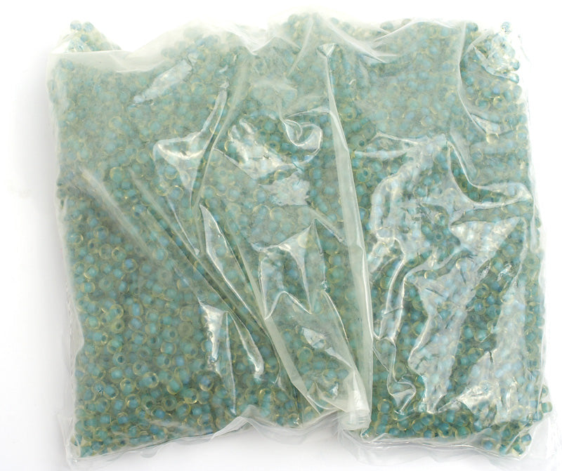 Czech Seed Bead / Pony Beads 6/0 Color Lined 