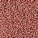 Czech Seed Beads 11/0 Metallic 