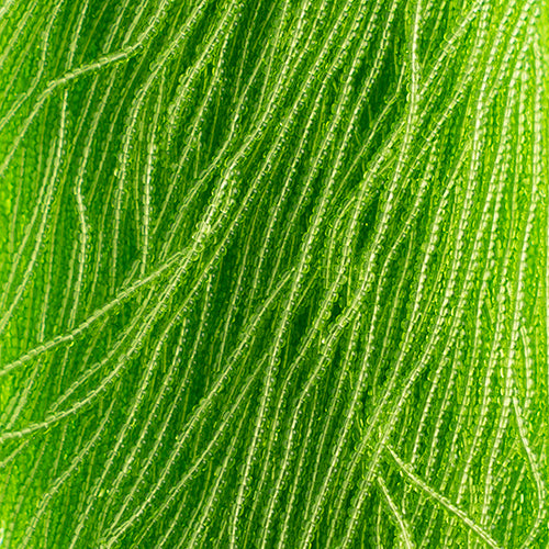 Czech Seed Beads 13/0 Transparent Strung